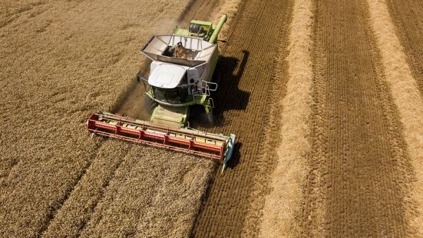 «ПроЗерно»: скидки на экспорт зерна в $20-50 за тонну нанесли «огромный» ущерб поставщикам из России 