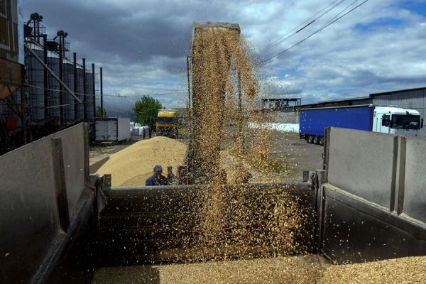 РИА Новости: консенсуса по зерновой сделке пока нет, но переговоры будут решающими 