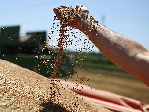 В Турции заявили об имеющихся шансах на продление зерновой сделки