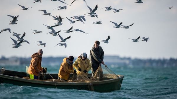 Из-за изменения Таможенного кодекса ЕАЭС в России может подорожать рыба 